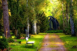 Imagen de un camino en el bosque en representación del camino de la vida